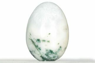 Polished Tree Agate Egg - India #326820