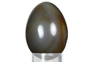 Polished Banded Brazilian Agate Egg #326810