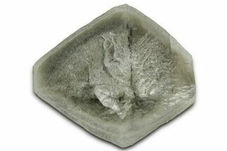 Selenite Crystal - Elder County, Utah #327003