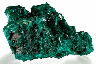 Gemmy Dioptase Crystal Cluster - Congo #326855