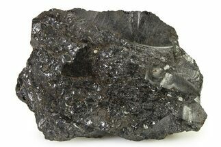 Lustrous Gilsonite Specimen - Uintah Basin, Utah #327032