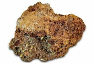 Wulfenite & Green Botryoidal Mimetite Association - Mexico #327446