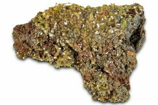 Wulfenite & Green Botryoidal Mimetite Association - Mexico #327472