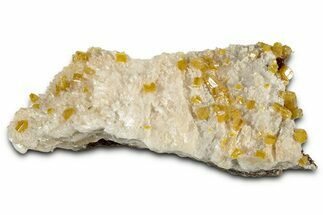 Orange Wulfenite Crystals on Calcite Association - Mexico #327475