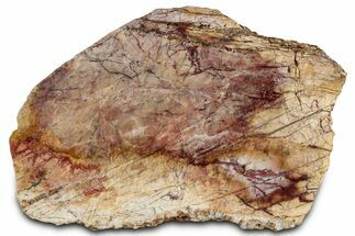 Polished Cherry Creek Jasper - China #326028