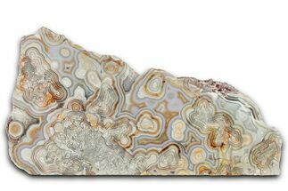 Polished Crazy Lace Agate Section - Mexico #326129