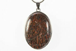 Dinosaur Bone (Gembone) Pendant - Includes Chain #327644