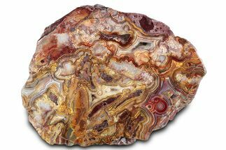 Polished Crazy Lace Agate Section - Mexico #326134