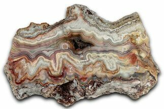 Polished Crazy Lace Agate Section - Mexico #326145