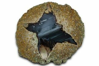 Colorful Polished Thunderegg Half - Oregon #328235