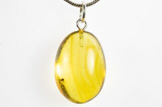 Polished Baltic Amber Pendant (Necklace) - Contains Fly! #328496