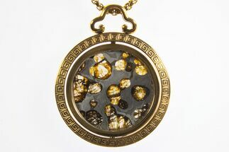 Sericho Pallasite Meteorite Pendant In Gold Rotating Frame #328659