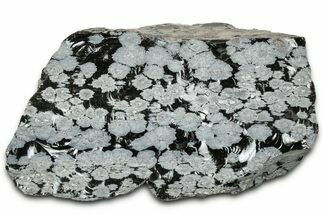 Snowflake Obsidian Section - Utah #327112