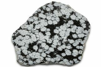 Snowflake Obsidian Section - Utah #327113