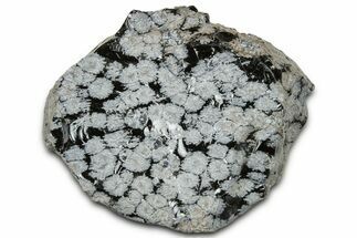 Snowflake Obsidian Section - Utah #327126