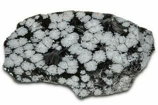 Snowflake Obsidian Section - Utah #327129