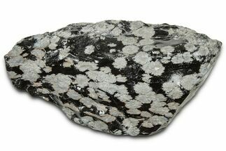 Snowflake Obsidian Section - Utah #327132