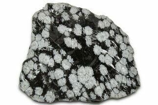 Snowflake Obsidian Section - Utah #327138