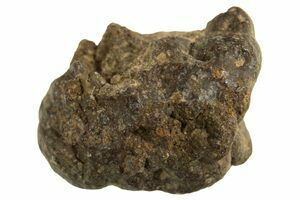 Abadla 002 Meteorites For Sale - FossilEra.com