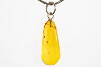 Polished Baltic Amber Pendant (Necklace) - Fly, Spider & Mite #328558