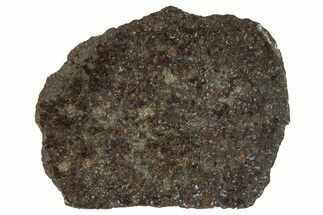 Polished Gold Basin Chondrite Meteorite Slice ( g) - Arizona #329357