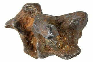 Sericho Pallasite Meteorite ( g) Metal Skeleton #267142