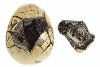 Septarian Dragon Egg Geode - Removable Section #329480