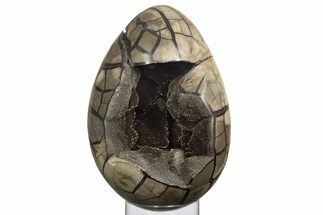 Septarian Dragon Egg Geode - Black Crystals #329502