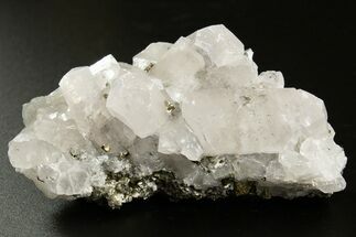 Columnar Calcite Crystals on Pyrite - Fluorescent! #330112