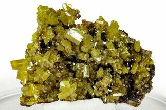 Lustrous Apple-Green Pyromorphite Crystal Cluster - China #330048