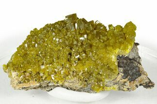 Lustrous Apple-Green Pyromorphite Crystal Cluster - China #330089