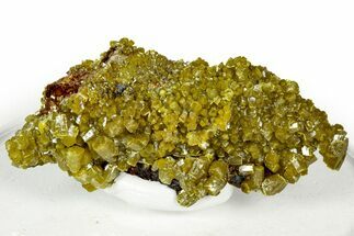 Lustrous Apple-Green Pyromorphite Crystal Cluster - China #330091