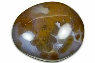 Polished Ocean Jasper Stone - Madagascar #329945