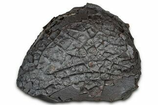 Dragon Scale Stone (Iron, Manganese, Siderite Nodule) #330299