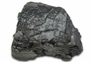 Dragon Scale Stone (Iron, Manganese, Siderite Nodule) #330326