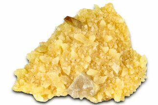 Honey Colored Barite Crystal on Fluorescent Calcite - Elk Creek #330352