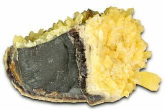 Honey Colored Barite Crystal on Fluorescent Calcite - Elk Creek #330355