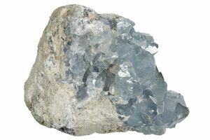 6.9