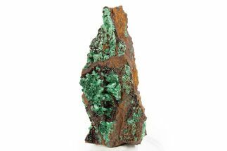 Fibrous Malachite on Limonite Matrix - Mexico #330583