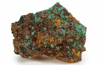 Fibrous Malachite on Limonite Matrix - Mexico #330587