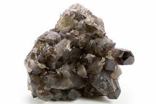 Dark Smoky Quartz Crystal Cluster - Brazil #330464