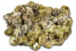 Yellow Andradite-Grossular Garnet Cluster with Clinochlore - Mali #330500
