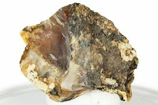 Rough Oregon Fire Opal #330542