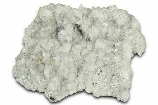 Calcite Crystal Cluster with Pyrite - Mexico #330549