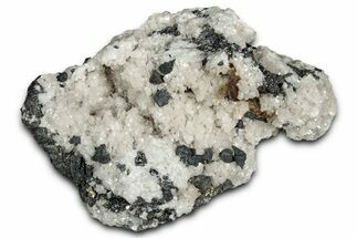 Lustrous Pyrite and Sphalerite Crystals on Dolomite - Mexico #330551