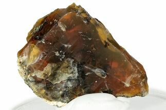Rough Oregon Fire Opal #330559
