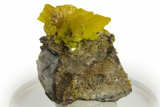 Lustrous Forest-Green Pyromorphite Crystal Cluster - China #330109