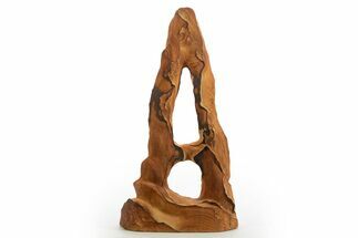 Tall Picture Sandstone Arch - Arizona #331139