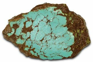 Polished Turquoise Slab - Number Mine, Carlin, NV #331195
