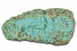 Tumbled Turquoise Specimen - Number Mine, Carlin, NV #331226